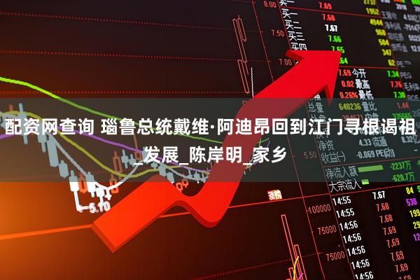 配资网查询 瑙鲁总统戴维·阿迪昂回到江门寻根谒祖_发展_陈岸明_家乡